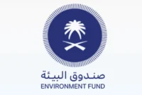 صندوق البيئة وظائف محاسبة