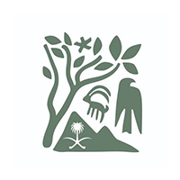 وظائف هيئة تطوير محمية الملك سلمان 2025 – رواتب تصل إلى 10,500 ريال